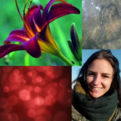 The Female Cycle Biologist&Doula